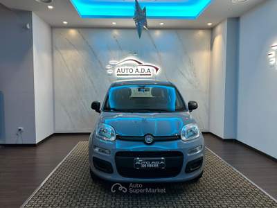 Fiat Panda FireFly S&S Hybrid Grigio usata Prato