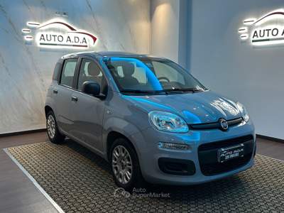 Fiat Panda FireFly S&S Hybrid Grigio usata Prato