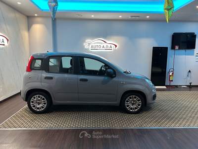 Fiat Panda FireFly S&S Hybrid Grigio usata Prato