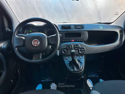 Fiat Panda FireFly S&S Hybrid Grigio usata Prato
