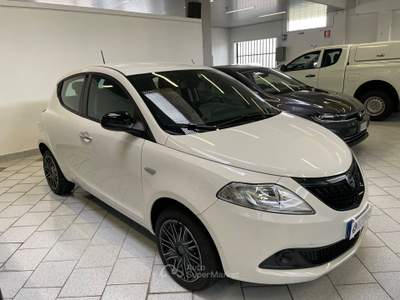 Lancia Ypsilon 5 porte S&S Hybrid Oro Bianco usata Gozzano
