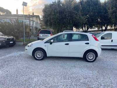 Fiat Punto GPL - PER NEOPATENTATI - LOUNGE Bianco usata Massa