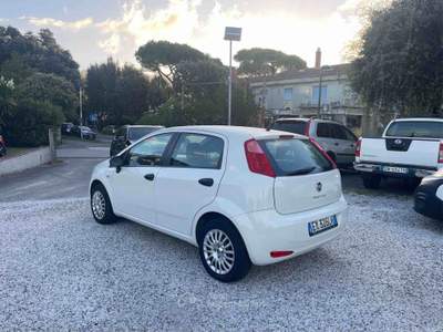 Fiat Punto GPL - PER NEOPATENTATI - LOUNGE Bianco usata Massa