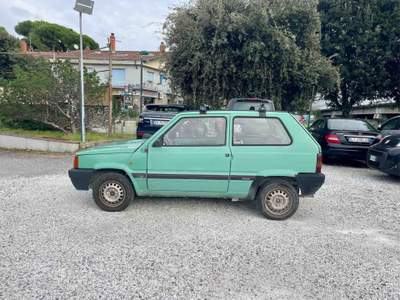 Fiat Panda - HOBBY Verde usata Massa