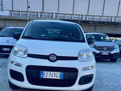 Fiat Panda - GPL - SOLO 99 000 KM Bianco usata Massa