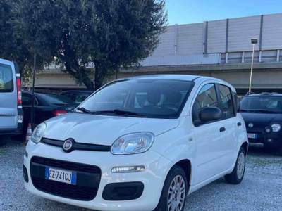 Fiat Panda - GPL - SOLO 99 000 KM Bianco usata Massa
