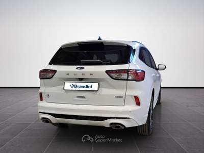 Ford Kuga  2.5 full hybrid st-line 2wd 190cv cvt Bianco usata Firenze