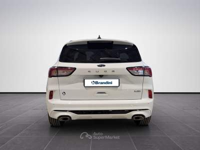 Ford Kuga  2.5 full hybrid st-line 2wd 190cv cvt Bianco usata Firenze