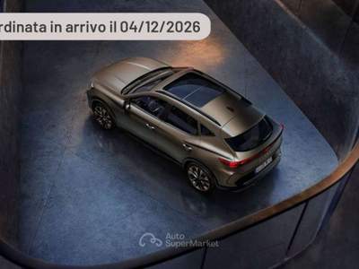 Cupra Formentor 2.0 TDI DSG Tribe Edition Argento usata Pieve di Cento