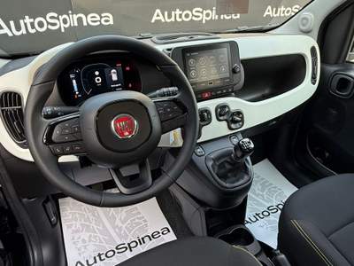 Fiat Panda Panda 1.0 FireFly S&S Hybrid Pandina #nazionale #5posti Nero usata Spinea