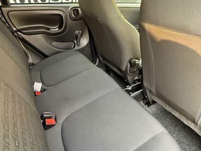 Fiat Panda Panda 1.0 FireFly S&S Hybrid Pandina #nazionale #5posti Nero usata Spinea