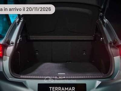 Cupra Terramar 2.0 TSI 204 CV DSG 4Drive Business Argento usata Pieve di Cento