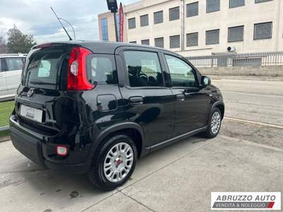 Fiat Panda 1.0 FireFly S&S Hybrid Nero usata Città Sant'Angelo