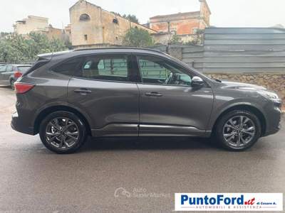 Ford Kuga 2.0 TDCI 120 CV S&S 2WD ST-Line Grigio usata Grottaglie