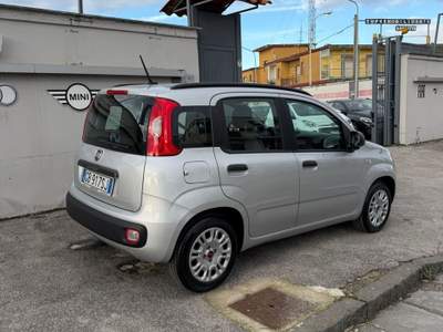 Fiat Panda Easy Grigio usata Sant'Antimo