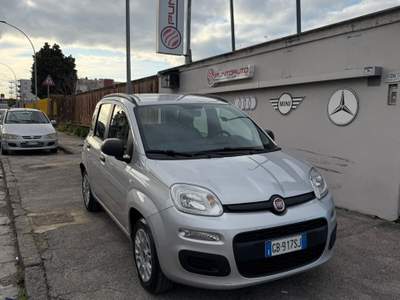 Fiat Panda Easy Grigio usata Sant'Antimo