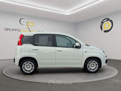 Fiat Panda Panda 1.2 Easy easypower Gpl 69cv my19 Bianco usata Pompei