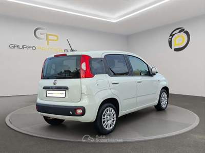Fiat Panda Panda 1.2 Easy easypower Gpl 69cv my19 Bianco usata Pompei