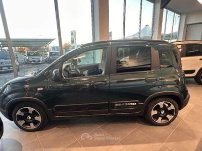 Fiat Panda Panda 1.0 FireFly S&S Hybrid Pandina Verde usata Strambino