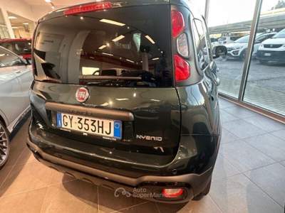 Fiat Panda Panda 1.0 FireFly S&S Hybrid Pandina Verde usata Strambino