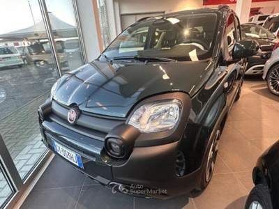 Fiat Panda Panda 1.0 FireFly S&S Hybrid Pandina Verde usata Strambino