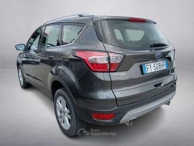 Ford Kuga 2.0 TDCI 120 CV S&S 2WD Powershift Business Grigio usata Rivignano Teor