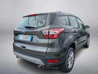 Ford Kuga 2.0 TDCI 120 CV S&S 2WD Powershift Business Grigio usata Rivignano Teor