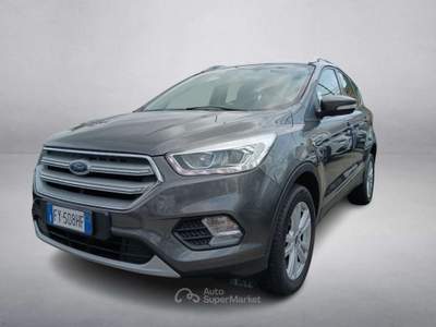 Ford Kuga 2.0 TDCI 120 CV S&S 2WD Powershift Business Grigio usata Rivignano Teor