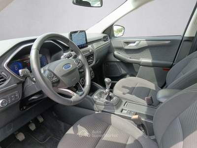 Ford Kuga 1.5 EcoBlue 120 CV 2WD Titanium Business Grigio usata Rivignano Teor
