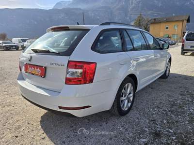 Skoda Octavia 1.6 TDI SCR 115 CV Wagon Executive Bianco usata Lavis