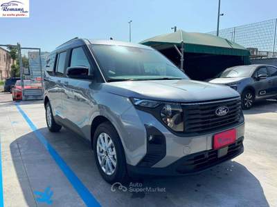 Ford Tourneo Courier  1.0 EcoBoost 100 CV Tit. Grigio usata Sant'Anastasia