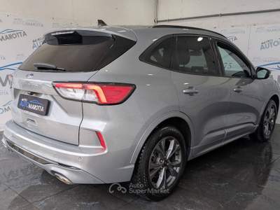 Ford Kuga 1.5 ecoblue ST-Line X 2wd 120cv auto Grigio usata Limatola