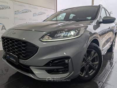 Ford Kuga 1.5 ecoblue ST-Line X 2wd 120cv auto Grigio usata Limatola