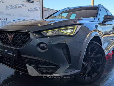 Cupra Formentor 2.0 tdi 4drive 150cv dsg Grigio usata Limatola