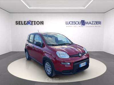 Fiat Panda  my24 1.0 70cv hybrid  Rosso usata Ancona
