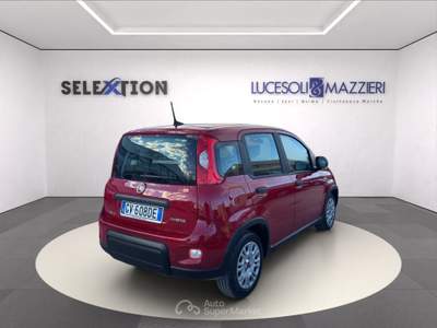 Fiat Panda  my24 1.0 70cv hybrid  Rosso usata Ancona