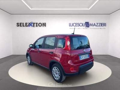 Fiat Panda  my24 1.0 70cv hybrid  Rosso usata Ancona