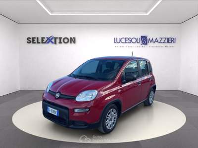 Fiat Panda  my24 1.0 70cv hybrid  Rosso usata Ancona