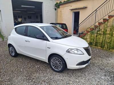 Lancia Ypsilon 5p Platinum Bianco usata Calci