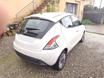 Lancia Ypsilon 5p Platinum Bianco usata Calci