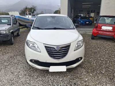Lancia Ypsilon 5p Platinum Bianco usata Calci