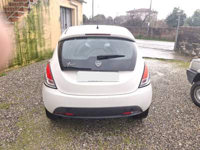 Lancia Ypsilon 5p Platinum Bianco usata Calci