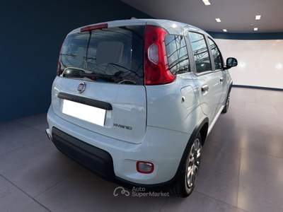 Fiat Panda III 2021 1.0 firefly hybrid s&s 70cv Bianco usata Torino