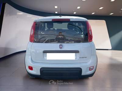 Fiat Panda III 2021 1.0 firefly hybrid s&s 70cv Bianco usata Torino