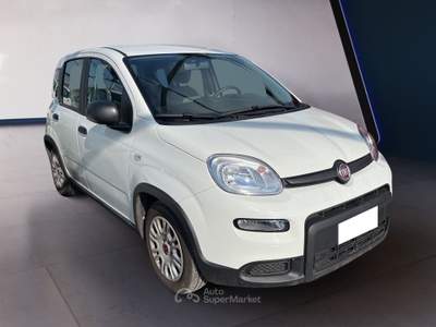 Fiat Panda III 2021 1.0 firefly hybrid s&s 70cv Bianco usata Torino