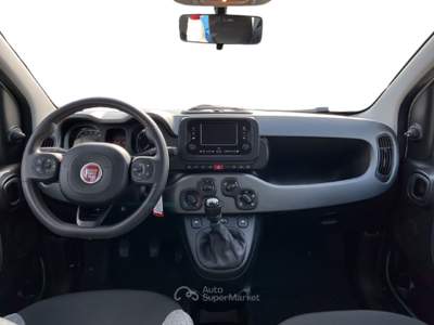 Fiat Panda III 2021 1.0 firefly hybrid s&s 70cv Bianco usata Torino