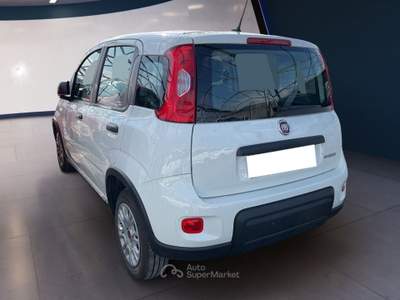 Fiat Panda III 2021 1.0 firefly hybrid s&s 70cv Bianco usata Torino