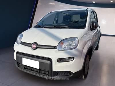 Fiat Panda III 2021 1.0 firefly hybrid s&s 70cv Bianco usata Torino