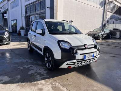 Fiat Panda 69cv Bianco usata Anzio
