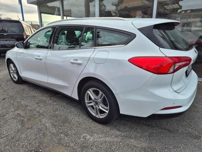 Ford Focus EcoBlue 120 CV SW Business usata Ciampino